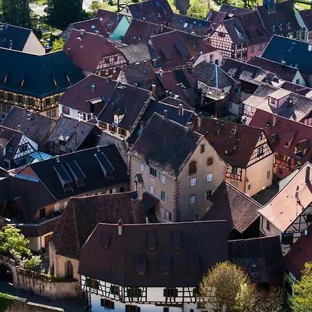Apartamento L'atelier - 1er Etage Kaysersberg-Vignoble